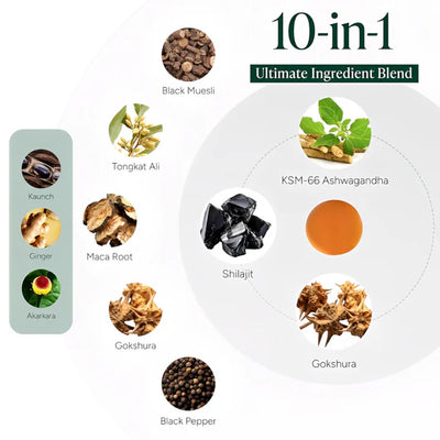 Primal Labs™ Shilajit Gummies